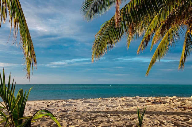 Sera vista sulla spiaggia al tramonto dell'isola delle Maldive e sulle palme