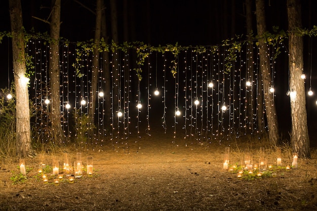 Serata di matrimonio con candele e lampioni nella pineta di conifere