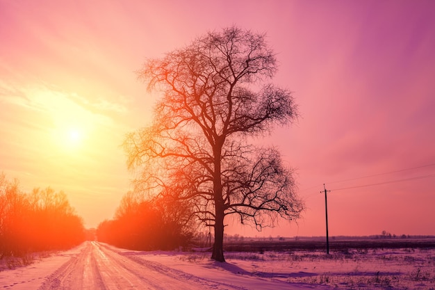 Serata in strada di campagna ricoperta di neve alla luce del tramonto