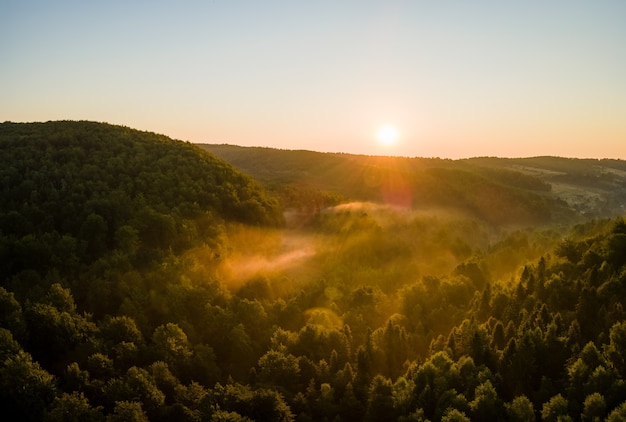 Serata nebbiosa vibrante su alberi della foresta scura al tramonto estivo luminoso. Incredibile scenario di boschi selvaggi al tramonto.