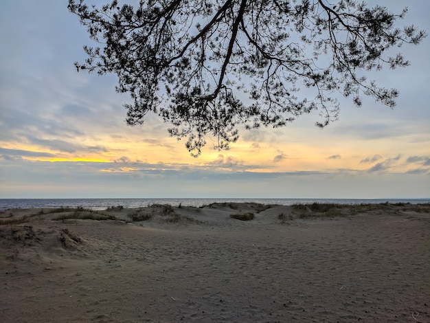 Serata nuvolosa in spiaggia a Komarovo.