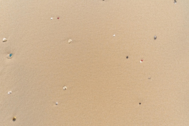 Serenità aerea Bella spiaggia di sabbia dall'alto