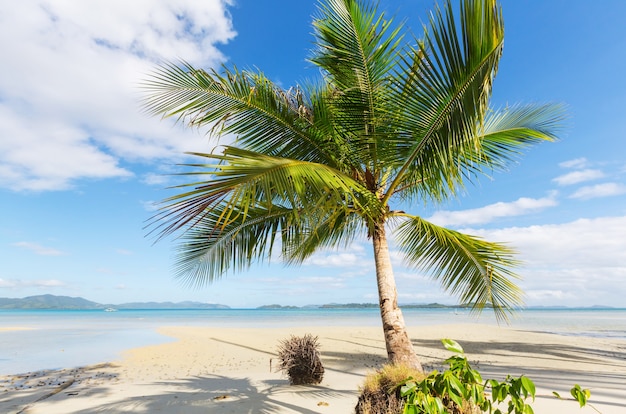 Serenità spiaggia tropicale