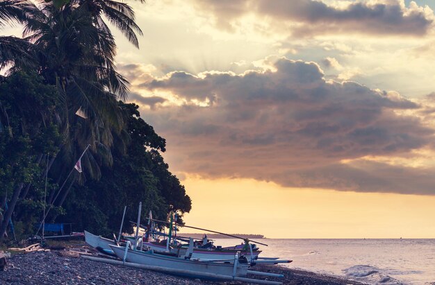 Serenity spiaggia tropicale, filtro Instagram