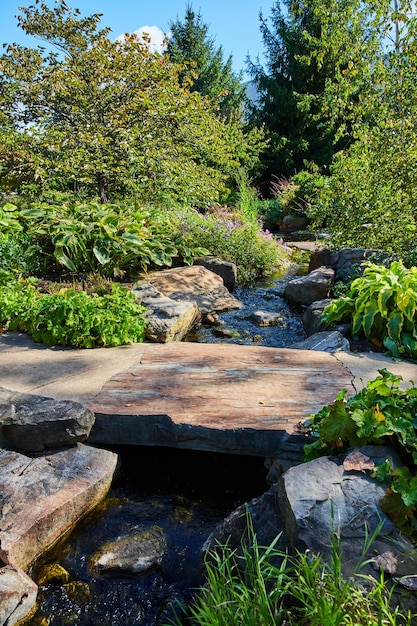 Sereno Garden Stream con rustico ponte di legno e lussureggiante vegetazione