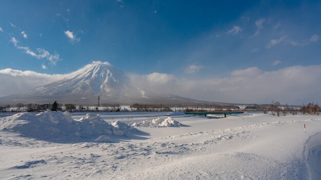 Sereno paesaggio di neve