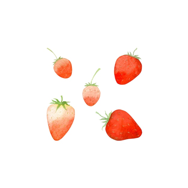 Serie di illustrazioni isolate ad acquerello di fragole su sfondo bianco Illustrazione per il design e la creatività Illustrazioni per produttori di succhi di frutta o yogurt