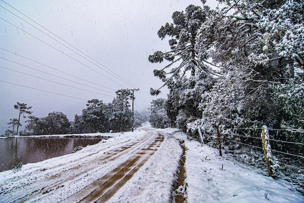 Serra de Santa Catarina, regione meridionale del Brasile, uno dei più grandi fenomeni di neve mai visti in tutta la sua storia.