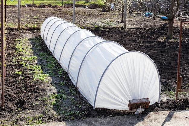 Serra nel giardino di campagna in giornata di sole primaverile