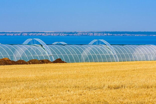 Serra realizzata con telaio in metallo e film in polietilene al campo agricolo. Fiume Dnepr sullo sfondo