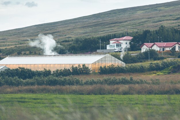 Serre geotermiche in Islanda