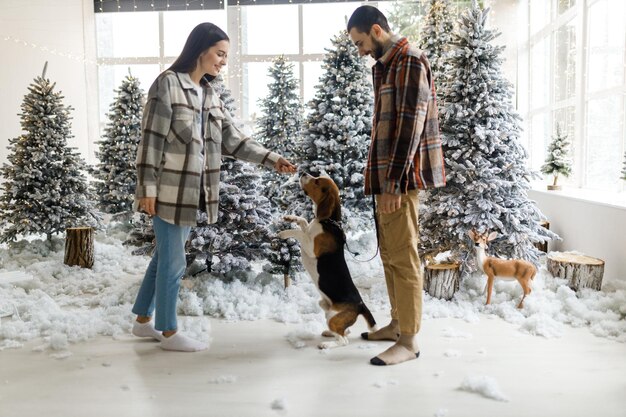 Servizio fotografico nello studio di una giovane coppia Coppia con il loro cane Un ragazzo con una ragazza festeggia il Natale La storia d'amore di Capodanno