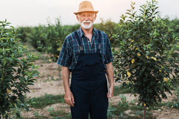 Sessantenne agronomo barba che lavora nel meleto.