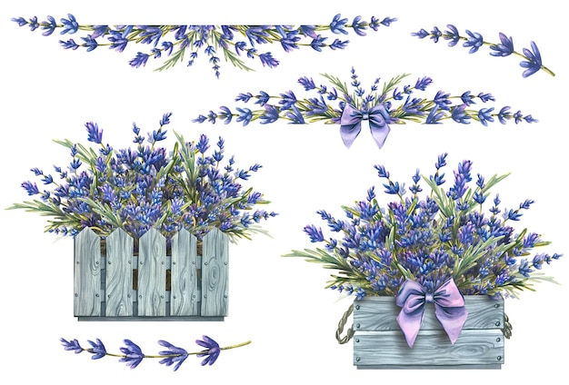 Set con bouquet di composizioni di fiori di lavanda Illustrazione ad acquerello della collezione LAVENDER SPA Per la decorazione e il design in stile provenzale