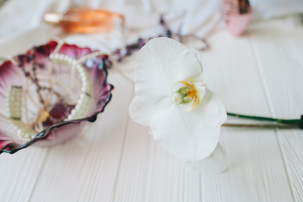 Set di accessori donna su sfondo bianco