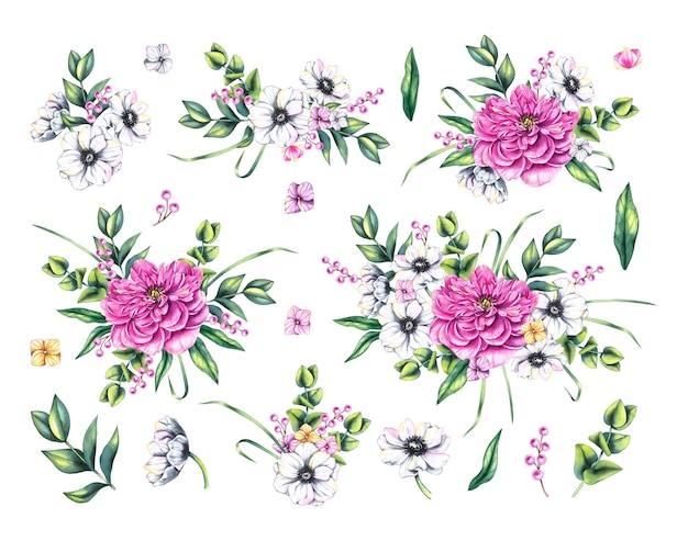 Set di acquerelli di bouquet di peonie e anemone