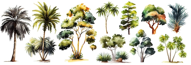 Set di alberi tropicali acquerello Palma di colore verde isolata su sfondo bianco