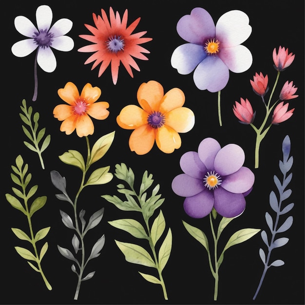 set di fiori ad acquerello su sfondo bianco set di fiore colorato