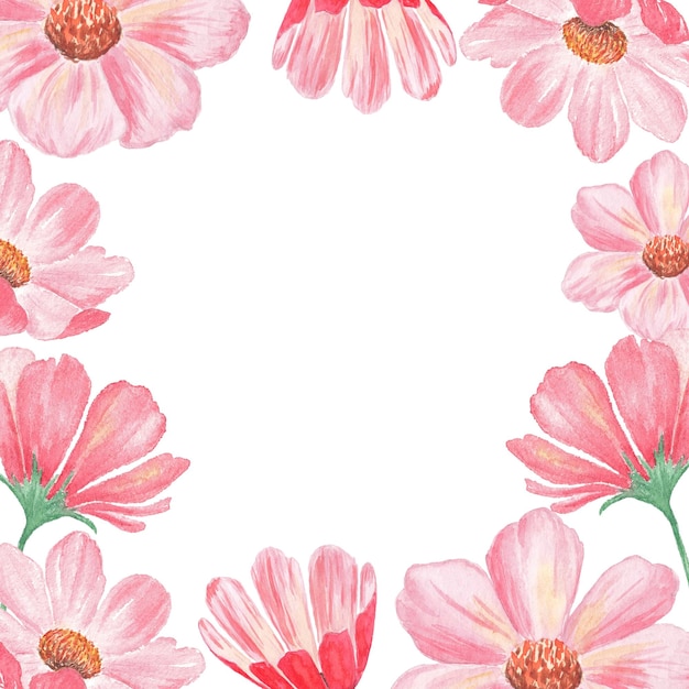 Set di fiori. Illustrazione ad acquerello di delicati fiori rosa. Cornice di fiori su bianco