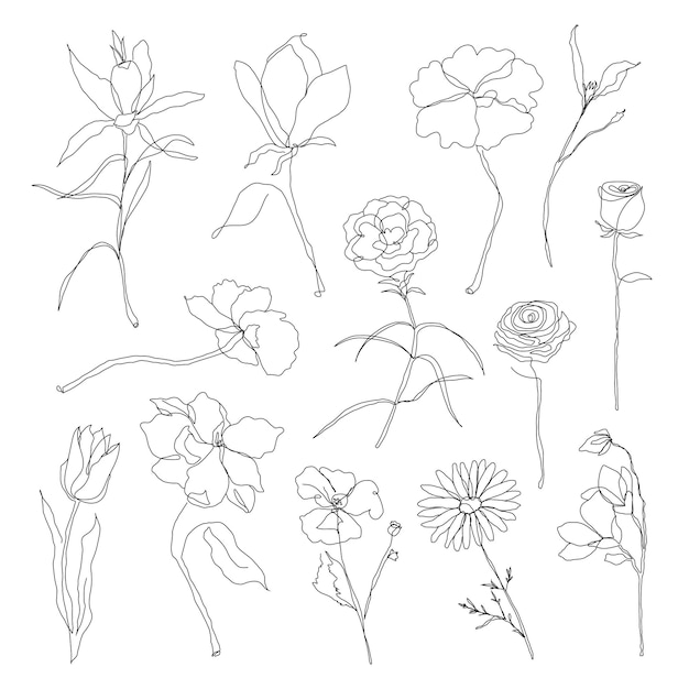 Set di fiori Png disegnati a mano a riga singola