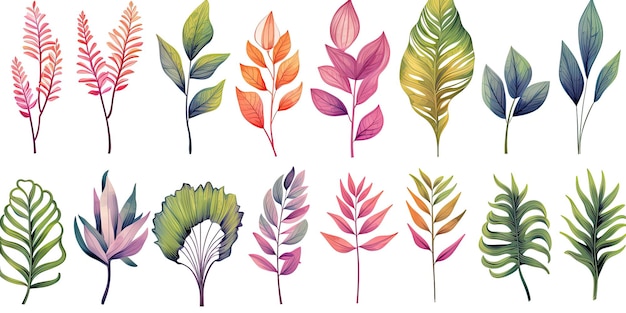 Set di foglie di piante in stile acquerello piante della giungla foglie brillanti e succulente