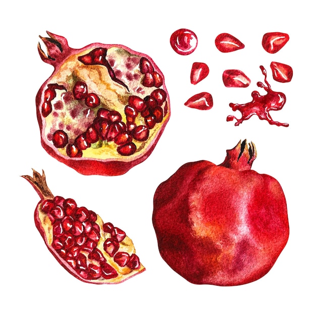 Set di frutti di melograno. Illustrazione ad acquerello.