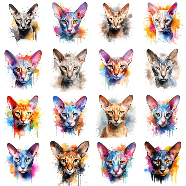Set di gatti dipinti ad acquerello su uno sfondo bianco in modo realistico arcobaleno colorato Ideale per materiali didattici, libri e disegni a tema naturale Icone di schizzi di vernice di gatto create da AI