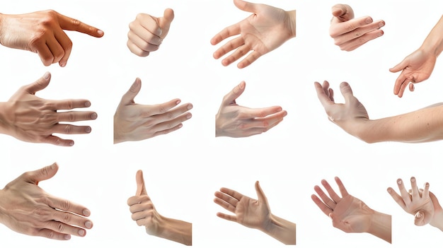Set di gesti realistici delle mani isolati su sfondo bianco Tutte e dieci le dita della mano di una persona sono mostrate in varie posizioni