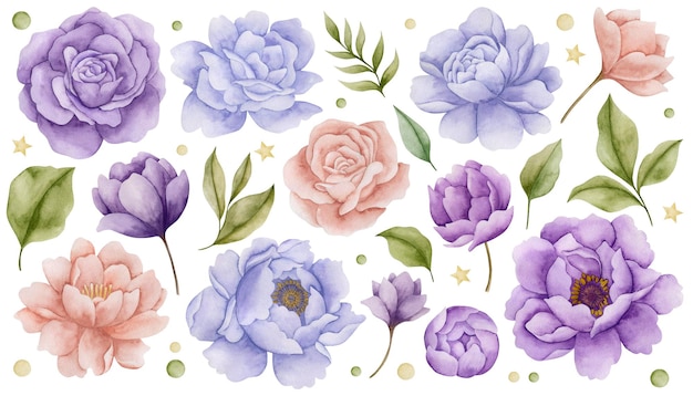 Set di illustrazioni ad acquerello di fiori di rose peonie su uno sfondo bianco isolato