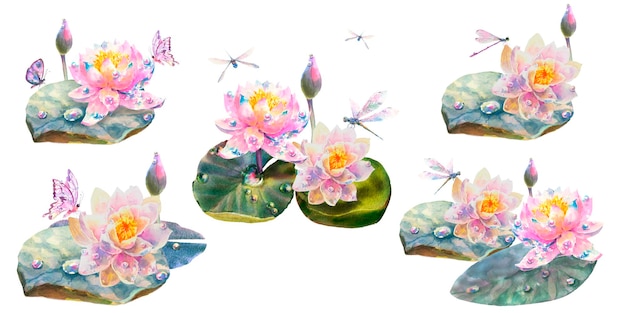 Set di illustrazioni botaniche ad acquerello di ninfee bianche e rosa con libellule farfalla