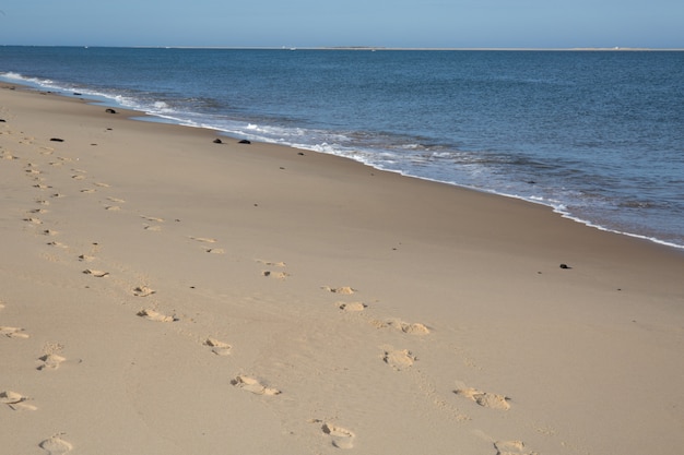 Set di impronte che conducono all'oceano