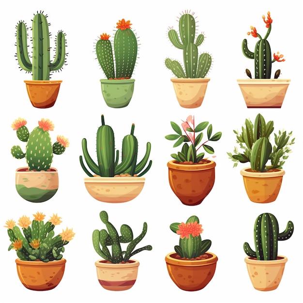 Set di piante domestiche di cactus in vasi di fiori isolati su sfondo Cartoon illustrazione vettoriale