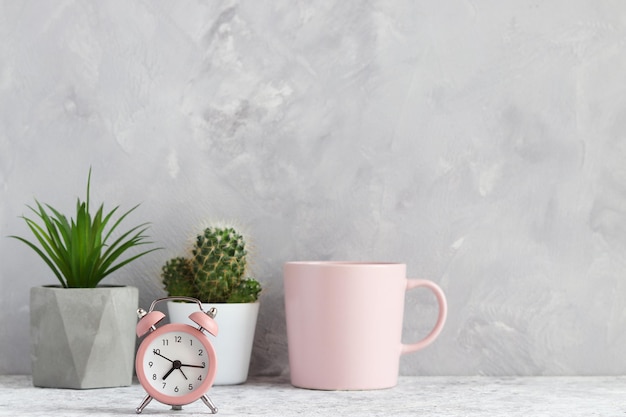 Set di piante succulente in vaso sveglia e tazza di caffè Concetto di mattina Design minimalista