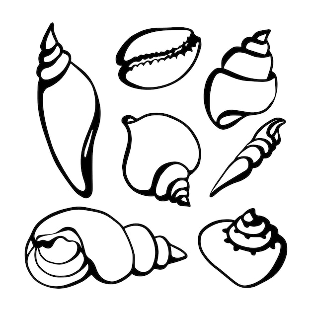 Set di silhouette di conchiglie marine su uno sfondo blu Conchiglia di stella di mare elica a spirale