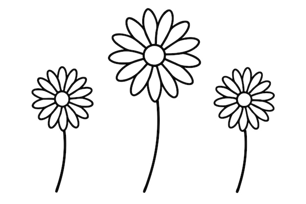 set di silhouette di fiori di margherita vettoriale su sfondo bianco