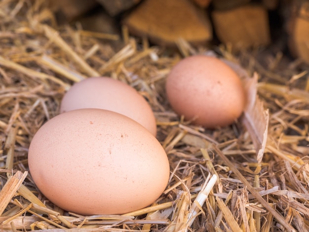 Set di uova di gallina ecologiche in paglia. Scena rurale.