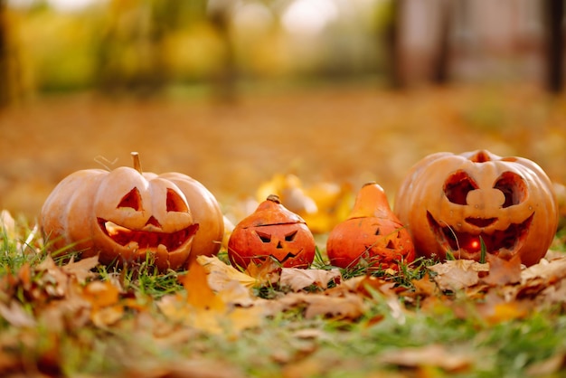 Set di zucche arancioni per il concetto di decorazione di feste di halloween