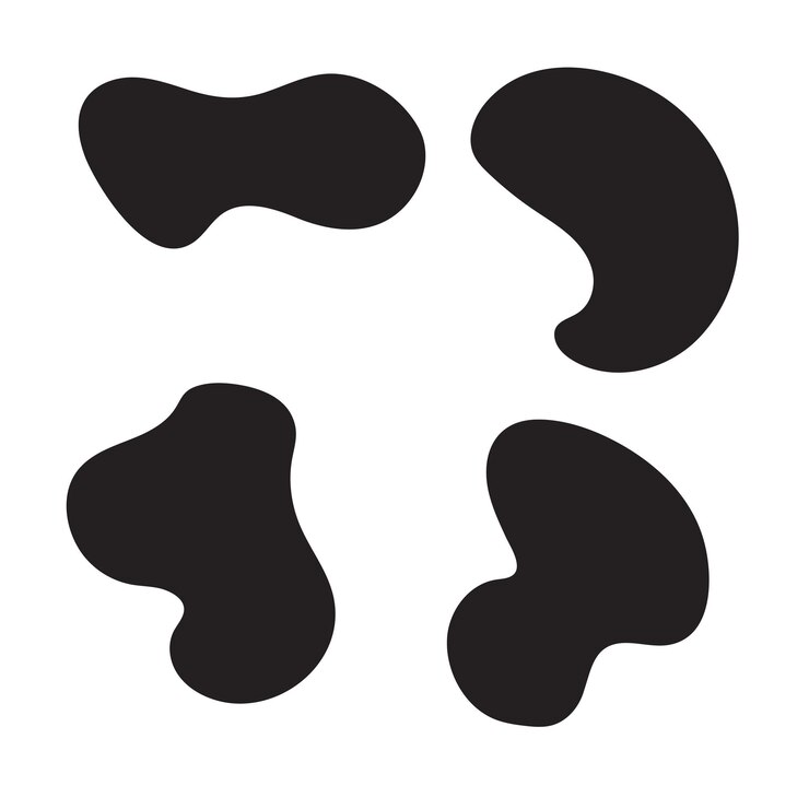 Photo set of modern black abstract graphic elements fluid shapes vector
