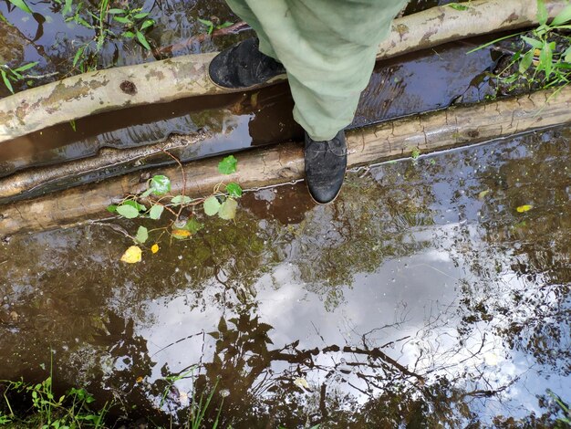 Sezione bassa dell'uomo in piedi sopra lo stagno sul legno