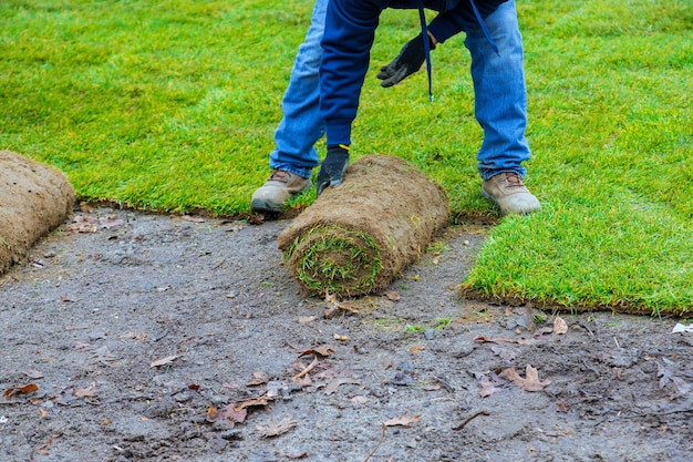 Sezione bassa dell'uomo in piedi sul campo