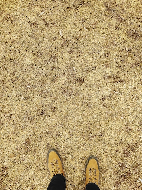Sezione bassa dell'uomo in piedi sul campo