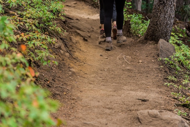 Sezione bassa di persone che camminano su una strada di terra nella foresta
