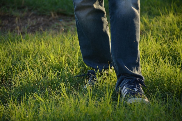 Sezione bassa di un uomo in piedi su un campo erboso