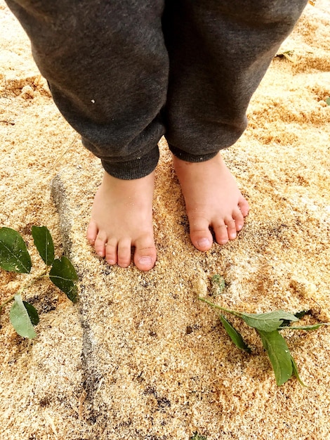 Sezione bassa di un uomo in piedi sulla sabbia