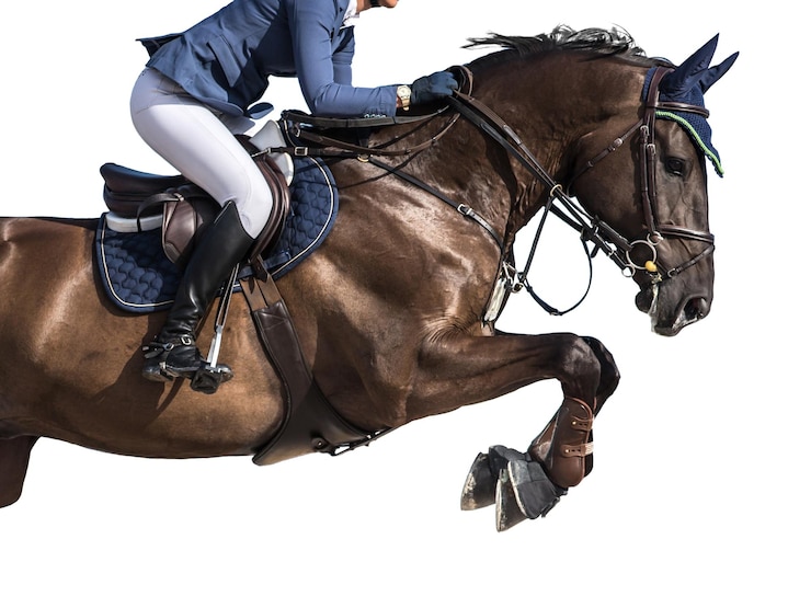 Foto sezione bassa di una donna a cavallo su uno sfondo bianco