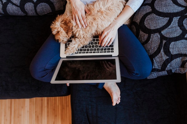 Sezione bassa di una donna con un laptop e un cane a casa