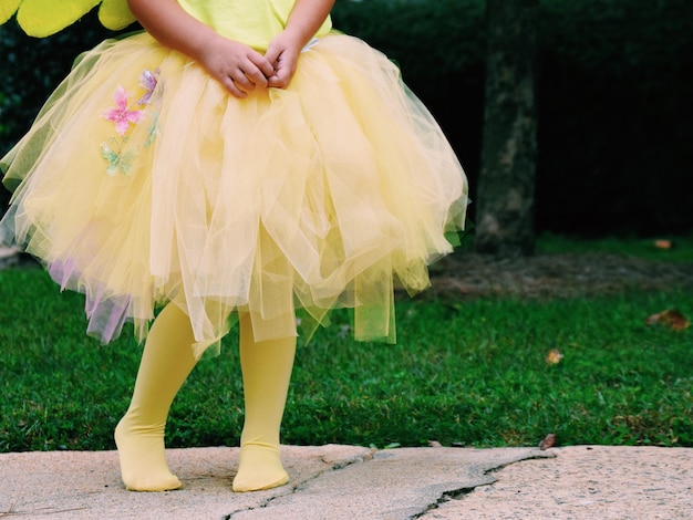 Sezione bassa di una giovane ballerina