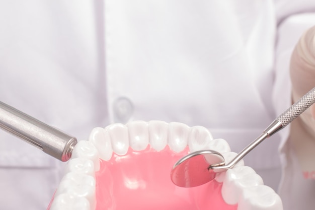 Sezione centrale del dentista che esamina la protesi dentale