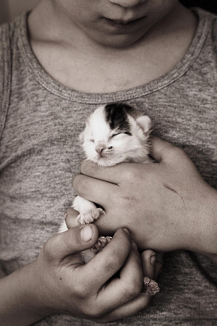 Foto sezione centrale di un ragazzo che tiene un gattino