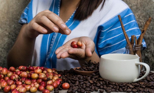 Sezione centrale di una donna che tiene dei chicchi di caffè crudi sul tavolo a casa